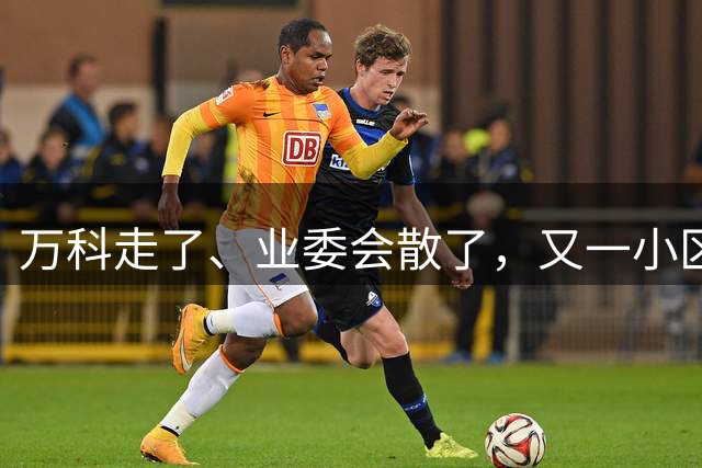 万科走了、业委会散了，又一小区被“双抛弃”！